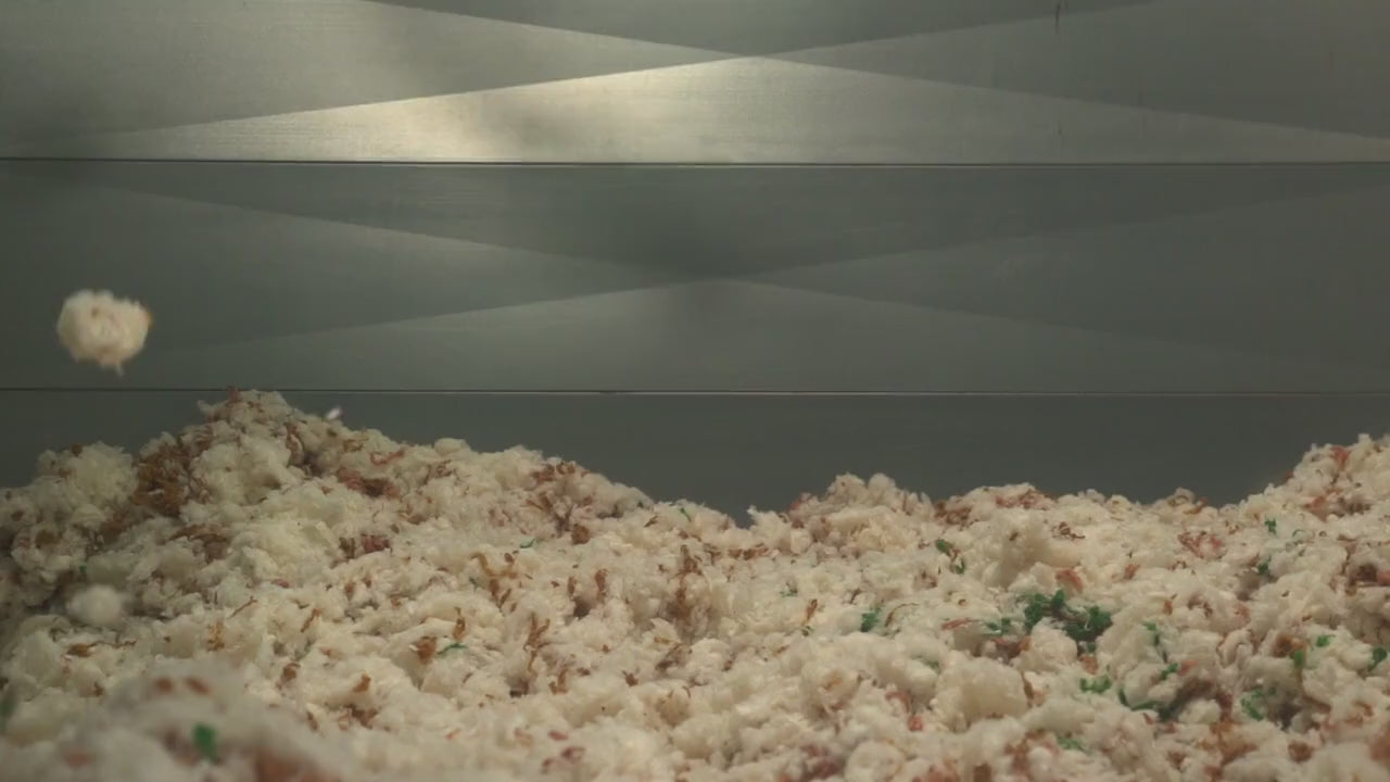 Carica il video: 